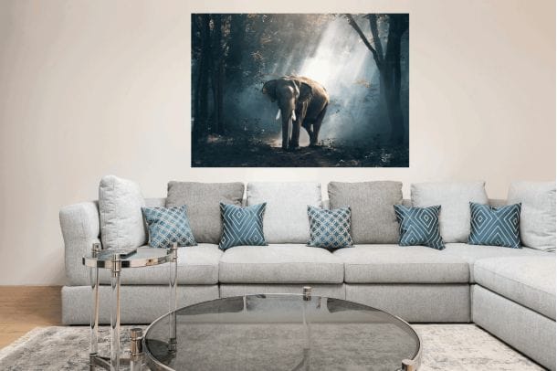 Dieren Decoratie. Muurrechthoek Olifant